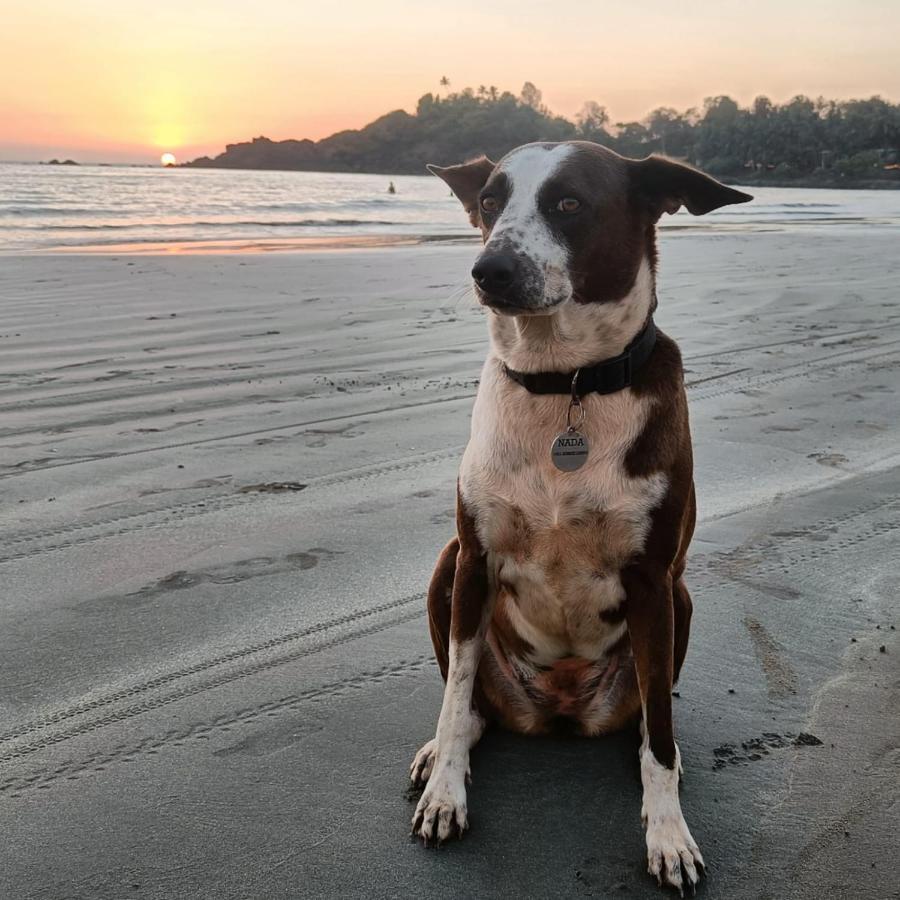 Nada Brahma Patnem Beach Dış mekan fotoğraf